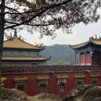 評論圖片 5