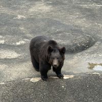 評論圖片 6
