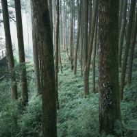 評論圖片 2