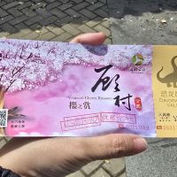 評論圖片 2