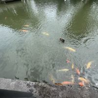 評論圖片 6