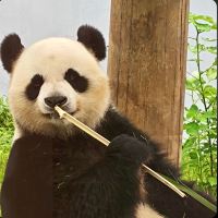 評論圖片 1