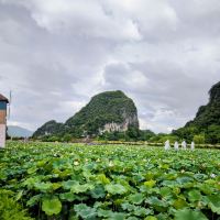 評論圖片 4