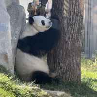 評論圖片 5