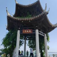 評論圖片 9