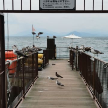 評論圖片 8
