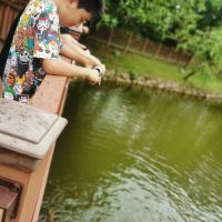 評論圖片 5