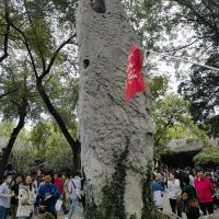 評論圖片 3