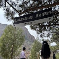 評論圖片 3