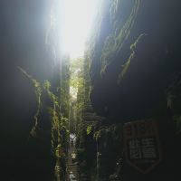 評論圖片 4