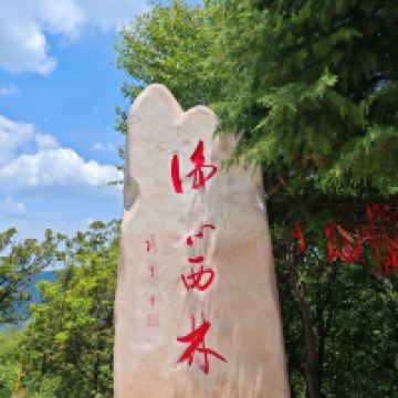評論圖片 5