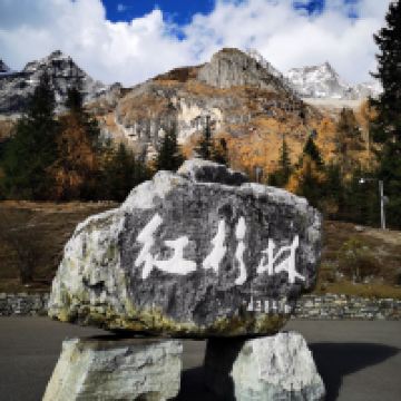 評論圖片 4