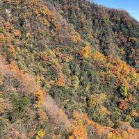 評論圖片 1