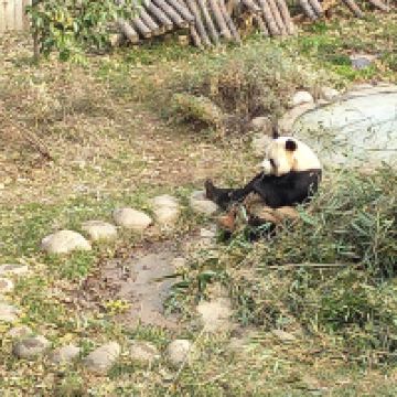 評論圖片 5