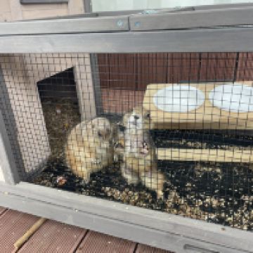 評論圖片 9