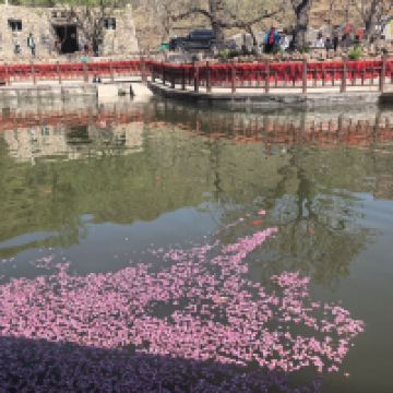 評論圖片 7