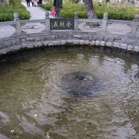 評論圖片 3