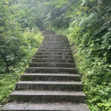 評論圖片 6