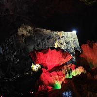 評論圖片 1