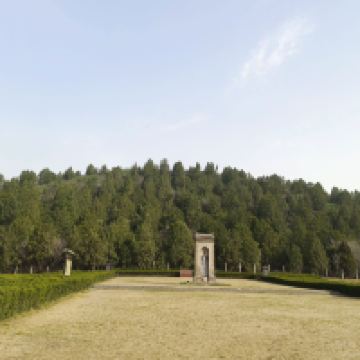 評論圖片 8