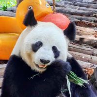 評論圖片 1