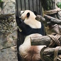評論圖片 5