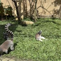 評論圖片 4