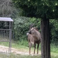 評論圖片 2