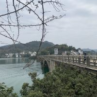 評論圖片 3