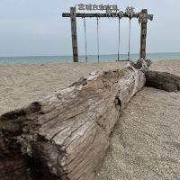 評論圖片 7