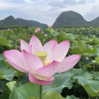 評論圖片 5