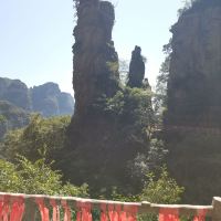 評論圖片 3