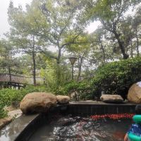評論圖片 2