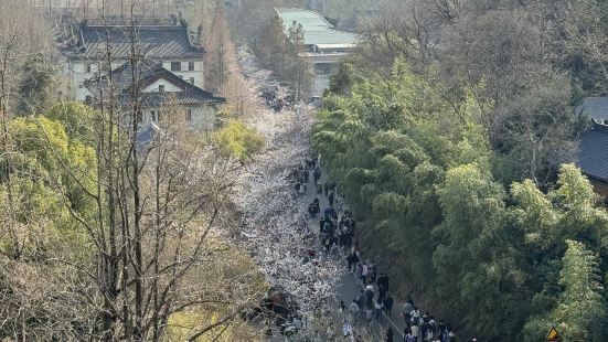 南京城墙风景很美！尤其可以看到玄武湖的全景，真的太赞了！值得