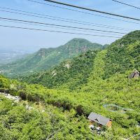 評論圖片 3