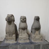 評論圖片 6