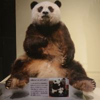 評論圖片 1