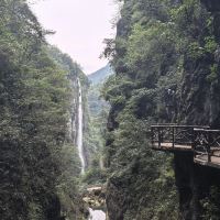 評論圖片 7