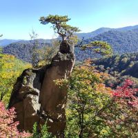 評論圖片 7
