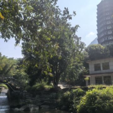 評論圖片 3