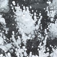 評論圖片 5