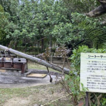 評論圖片 2