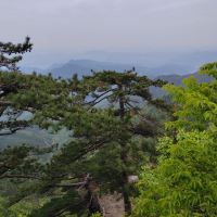 評論圖片 2