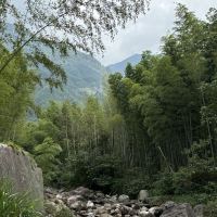評論圖片 3
