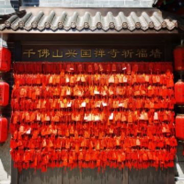 評論圖片 4