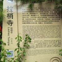 評論圖片 9
