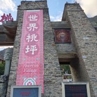 評論圖片 4