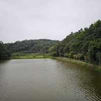 評論圖片 8