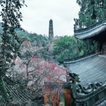 評論圖片 3