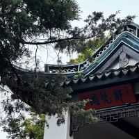 評論圖片 7